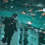 Mi mundo patas para arriba