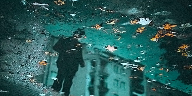 En este momento estás viendo Mi mundo patas para arriba