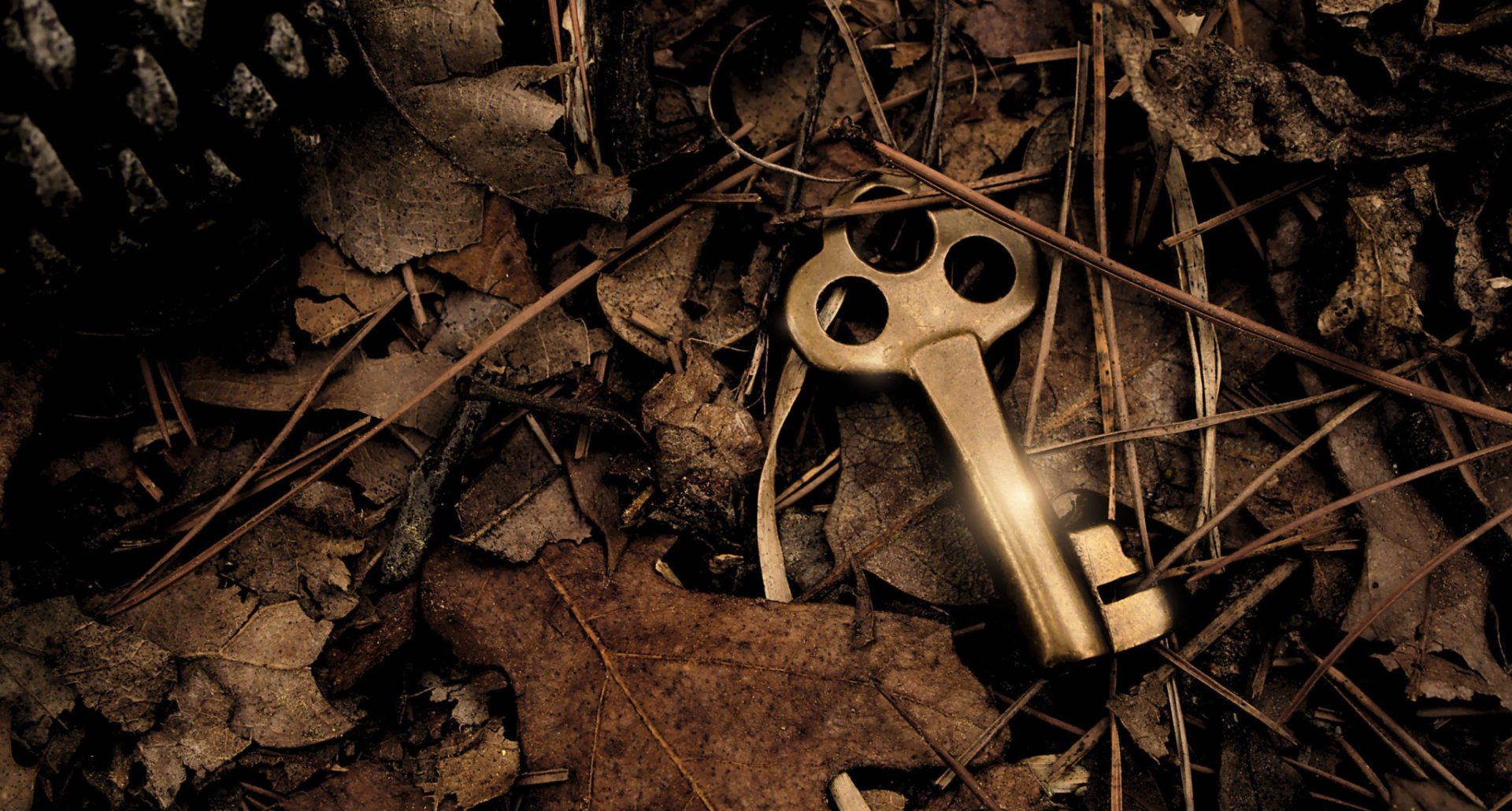 El despertar a las cualidades esenciales