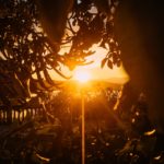 Hasta en tu noche, sigue tu sueño