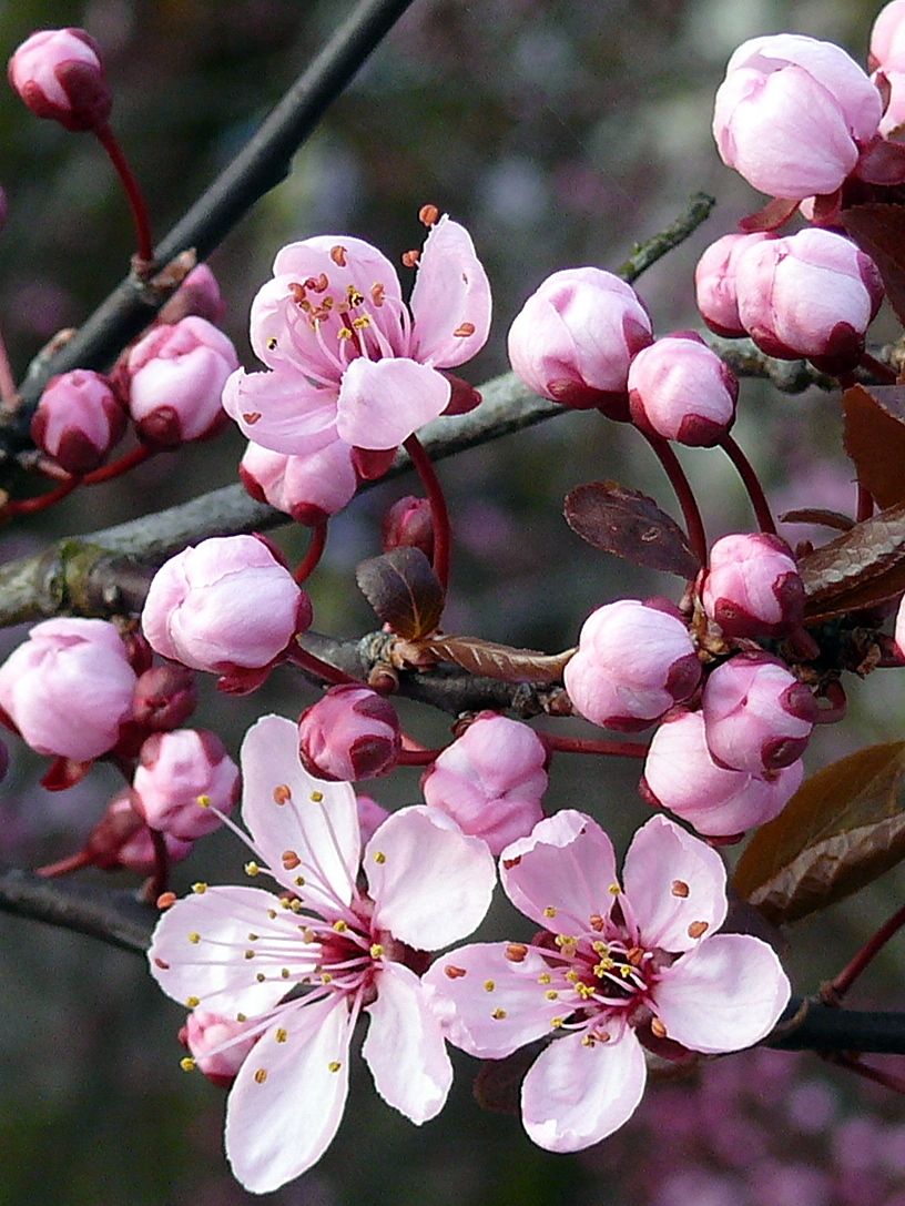En este momento estás viendo Cursar para Aprender-Se