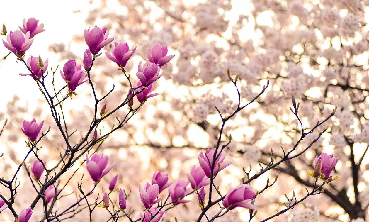 En este momento estás viendo Miedo