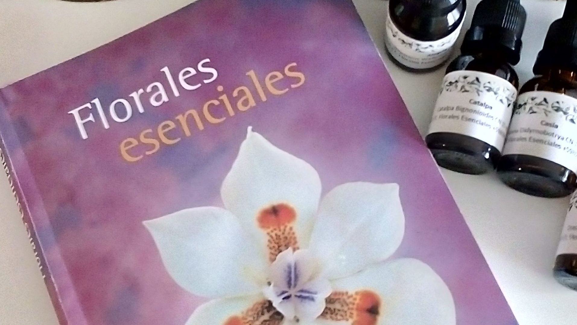 La excusa para el re encuentro