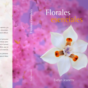 ¿Quieres el libro directo a tu pantalla?